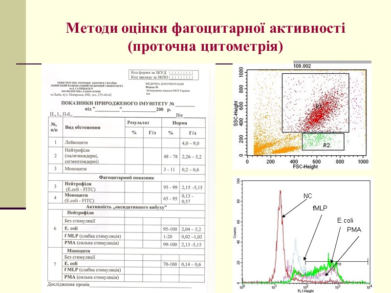 Методи оцінки фагоцитарної активності  (проточна цитометрія) NC fMLP E.coli РМА